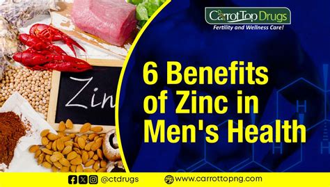 Zinc Benefits for Men and Their Importance | Conceive … - balustradellc