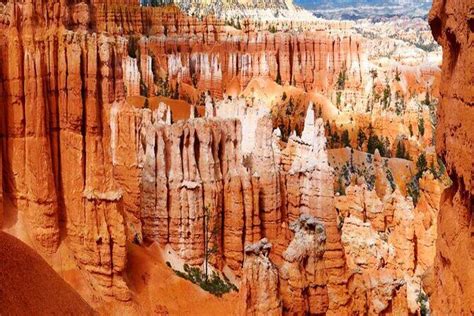 Zion and Bryce Canyon Park and Antelope 4 Day Tour - balustradellc