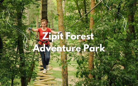 Zipit Forest Adventure | Zip Wire Dublin | Adventure … - raincitystudios.com