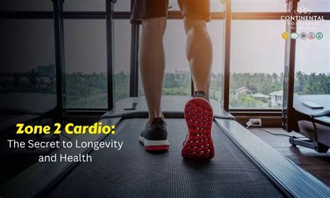 Zone 2 Cardio for Longevity and Cardiovascular Health - balustradellc