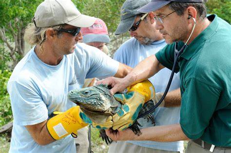 Zoologists and Wildlife Biologists - U.S. Bureau of … - raincitystudios.com