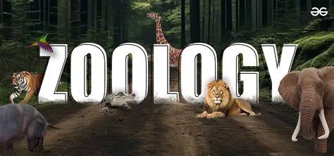 Zoology - raincitystudios.com