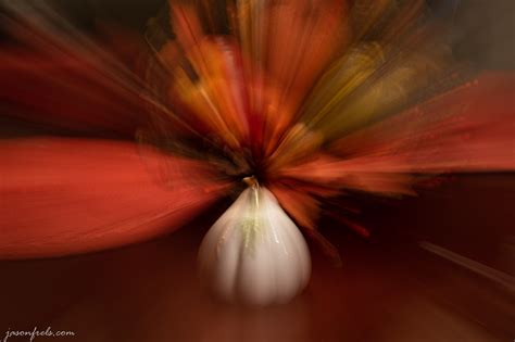 Zoom Burst – Jason Frels - balustradellc