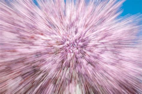 Zoom Burst Photography in Four Simple Steps - iris28.art - balustradellc