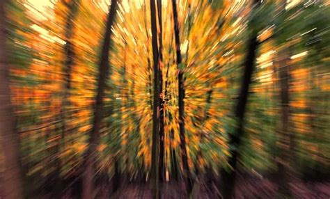 Zoom Burst Photography With A Tamron Lens - balustradellc