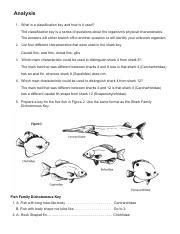 Zaki Ahamad - Dichotomous Key Analysis.pdf - Course Hero