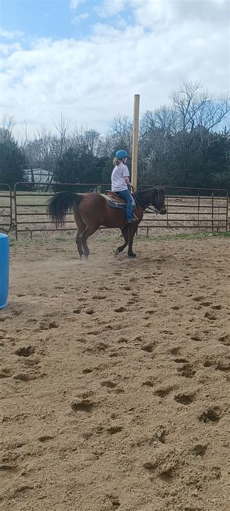 Zana Basic Zuccolo Onlyfans Leaked 🍑 [CLIP]