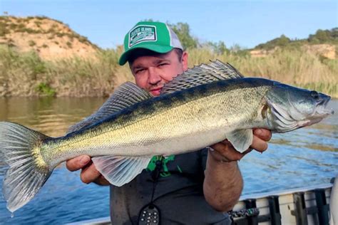 Profile picture of Zander Brakus