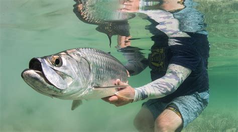 Zapata Cuba Fly Fishing Yellow Dog