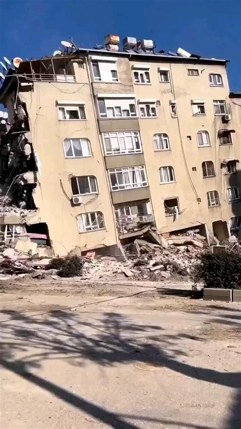 Zapcioglu Halı ve Koltuk Yıkama