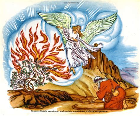 🍑 Zaraza Angel Onlyfans Leaked XxX