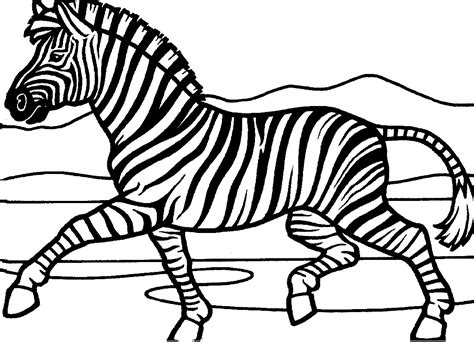 Zebra Coloring Pages Educative Printable