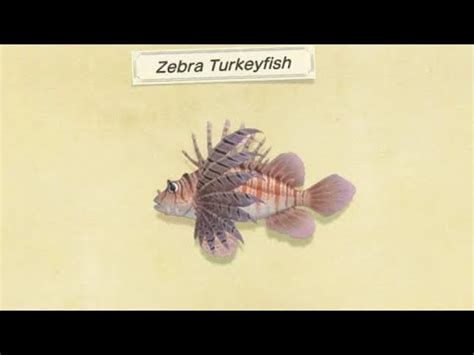 Zebra Turkey Fish Animal Crossing Price