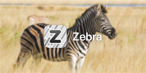 Zebra app jailbreak.  Adds Explore the GitHub Discussions forum for zbrateam Zebra.  In toda...