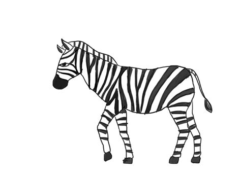 Zebra drawing. Download this stock vector: Drawing of Zebra. Sketch of African mammal Equus quagga, black and white illustration - 2BE33MJ from Alamy's library of millions ... 