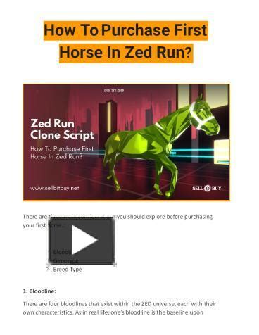 Zed Run - Buying your first horse - YouTube