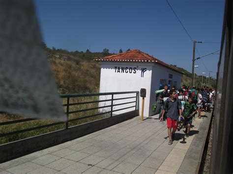 🍑 [CLIP] Zeltdm Onlyfans Leaked