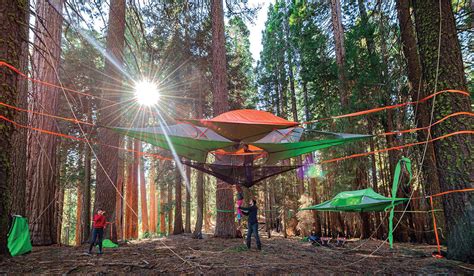 Zen Zone: Escape into Tranquility with Tree-Hanging Tents