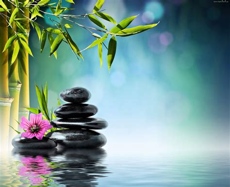 Zen water. Things To Know About Zen water. 