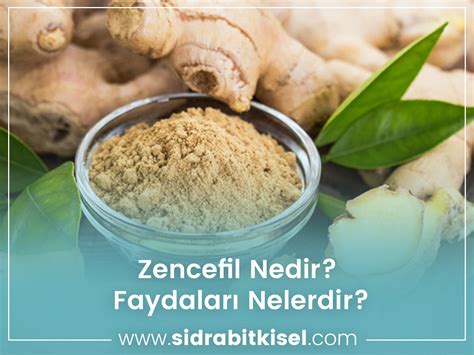 Zencefil Halı ve Koltuk Yıkama