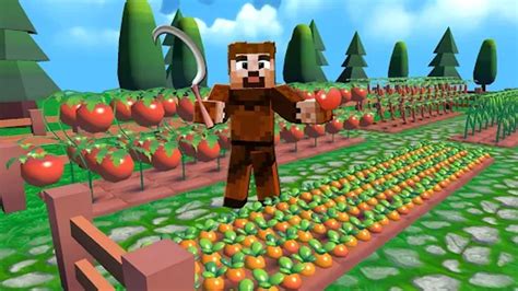 Zengin Halı ve Koltuk Yıkama