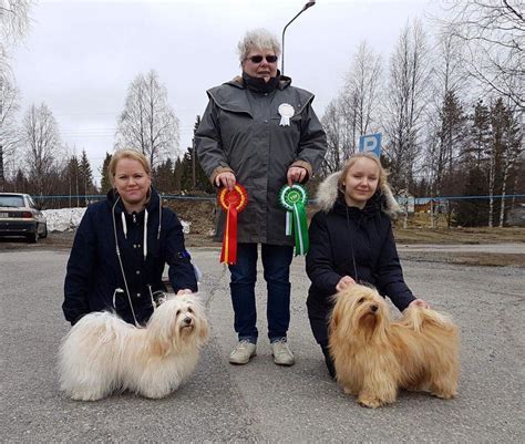 Zeraldas-havanese - Made in Finland - Facebook