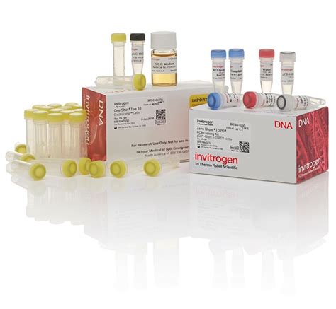 Zero Blunt TOPO PCR Cloning Kit - tools.thermofisher.com