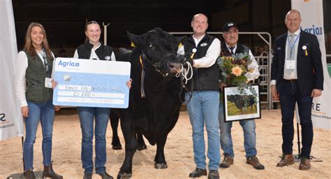 Zero av Ekered &ndash; snyggaste tjuren i landet: SVT Nyheter