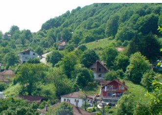 Zerzavatci Halı ve Koltuk Yıkama