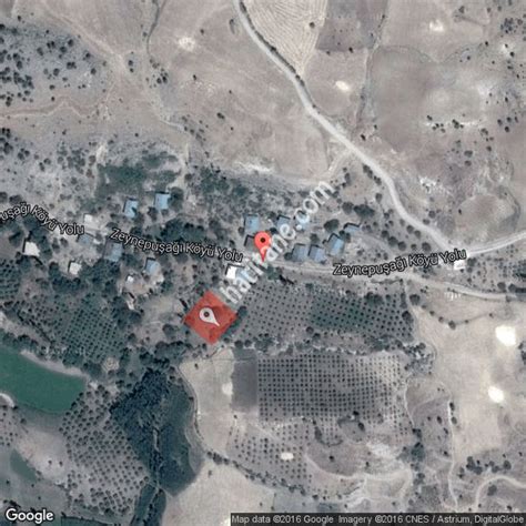 Zeynepusagi Halı ve Koltuk Yıkama