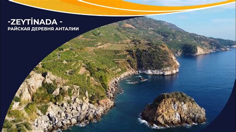 Zeytinada Halı ve Koltuk Yıkama