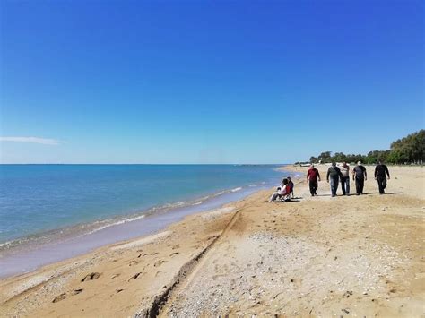 Zeytinbeli Halı ve Koltuk Yıkama