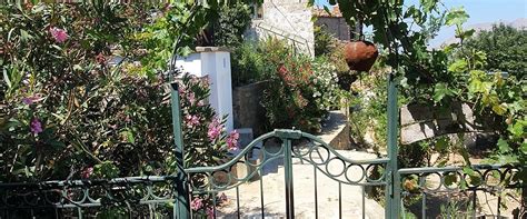 Zeytinlikoy Halı ve Koltuk Yıkama