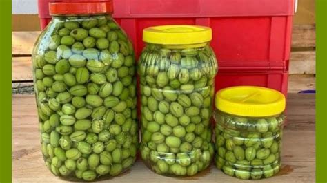 Zeytinsuyu Halı ve Koltuk Yıkama