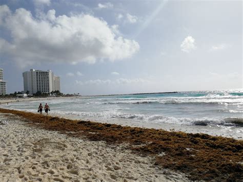 Zika in cancun - Cancun Forum - Tripadvisor