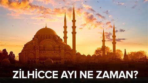 codini.rgarabwor.edu.pl. 