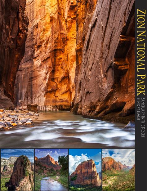 Zion National Park Sanctuary In The Desert by Nicky Leach