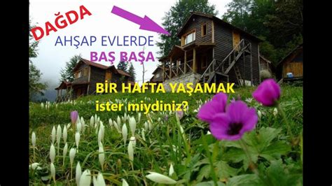 Zitaş Tatil Köyü on Instagram • Photos and Videos.