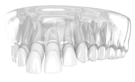 Zobu Halı ve Koltuk Yıkama