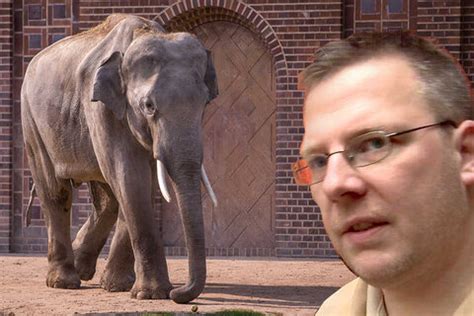 Zoff im Leipziger Zoo: Chefpfleger fliegt aus Elefanten-Tempel!