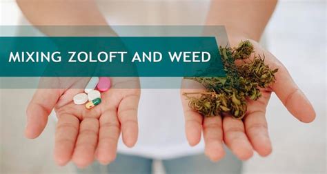 Zoloft And Weed: Are They a Safe Combination? - Homegrown …