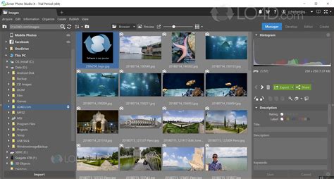 Zoner Photo Studio X 19.2009.2.272 with Crack
