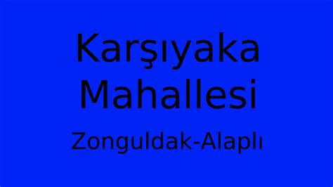 Zonguldak Alapli Merkez Mahallesi terapi halı yıkama