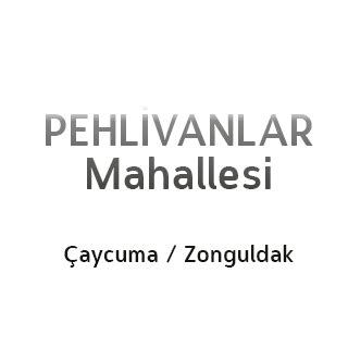 Zonguldak Caycuma Pehlivanlar Mahallesi terapi halı yıkama