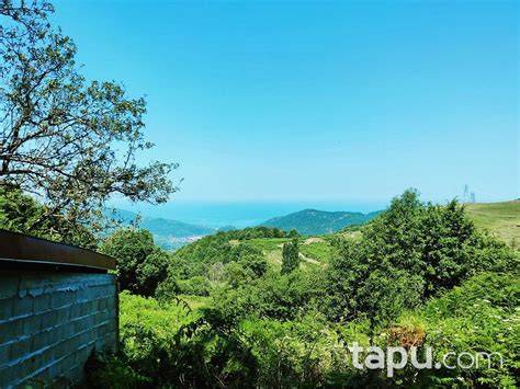 Zonguldak Caycuma Veliogluosb Mahallesi terapi halı yıkama