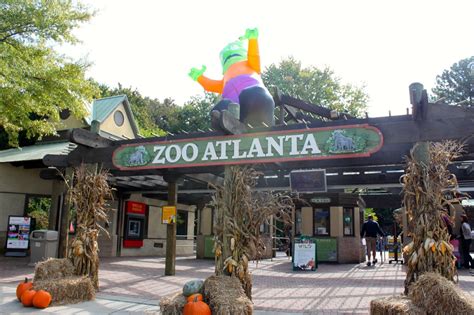 Zoo atlanta atlanta ga. 