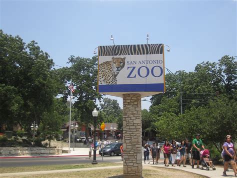 Zoo san antonio tx. 
