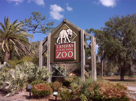 Zoo tampa. ZooTampa at Lowry Park Zoological Society of Tampa, Inc., an independent 501 (c) (3) charitable organization committed to excellence in conservation, education, recreation and research. The Zoo is accredited by the Association of Zoos and Aquariums (AZA) and is featured among the “Top 25 Zoos in the U.S” by … 