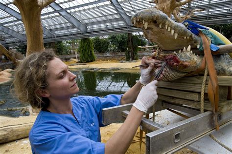 Zoo worker salary. Zoo veterinarian salary by state. This list provides average salaries for zoo veternarians by state, although updated salaries can be confirmed on Indeed: Alabama: $70,895 per year. Alaska: $76,140 per year. Arizona: $74,201 per year. Arkansas: $69,967 per year. California: $81,904 per year. Colorado: $76,019 per year. 
