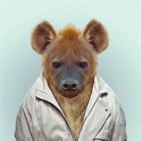 Full Download Zoo Portraits By Yago Partal